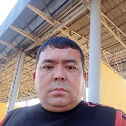 ���� ������� ������, ��������, 41 ��� - ��������� 18 ��� 2026