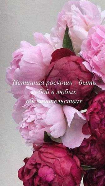   - 28  2024  16:50