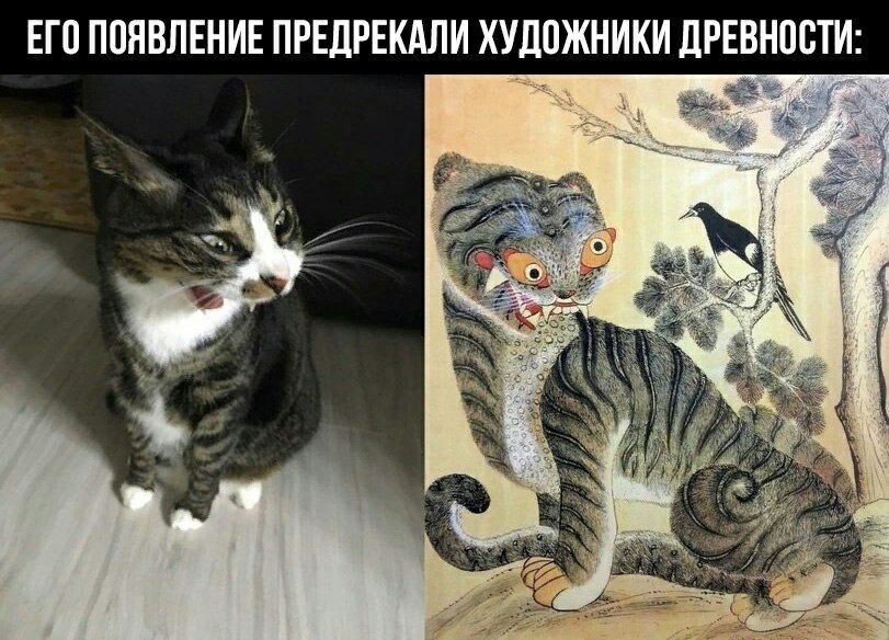    - 7  2023  04:23