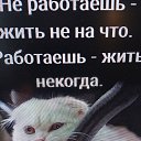 ���� �� ���� ����..., ������������ - ��������� 13 ������� 2026 � ������ ���� ����������