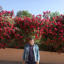 ���� Armen, ������ - ��������� 3 ������� 2025