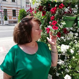 , 54, 