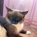 Liza �� ������� ���� ����������