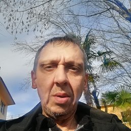 , 51, 