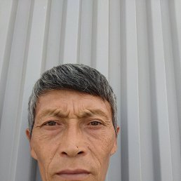 , 42, 
