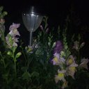 ���� ����, �������� - ��������� 5 ���� 2024 � ������ ���� ����������