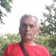 , 66 , 
