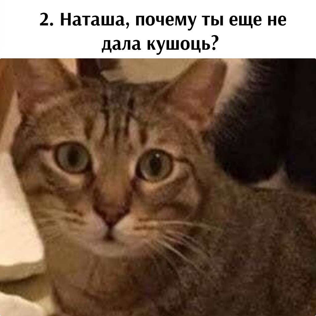       - 12  2024  16:06 - 3
