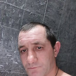 , 37, 