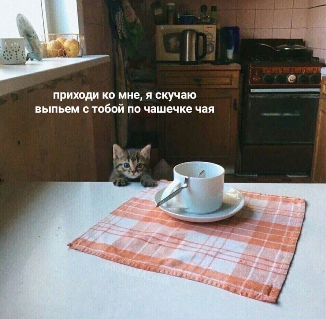    - 23  2024  18:11