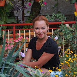 �����, 44 ����, ���������� �����