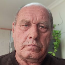 , , 65 