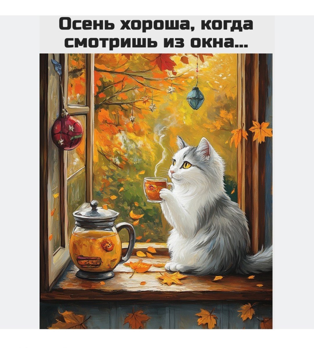   - 16  2024  07:44