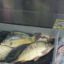 ���� ������, ������-��-����, 43 ���� - ��������� 27 ������� 2023