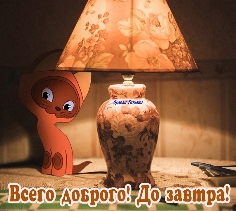   ,    . - 28  2024  21:02