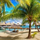 ���� �����, �����������, 31 ��� - ��������� 11 ����� 2026