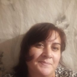 ���� �������, ����, 44 ���� - ��������� 24 ������ 2024