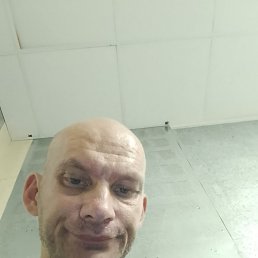  , 41, 