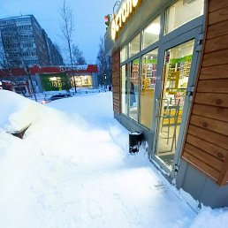 ��������, ������, 62 ����