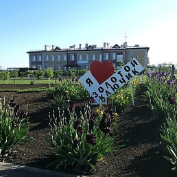 ����, ������-��-����, 42 ����