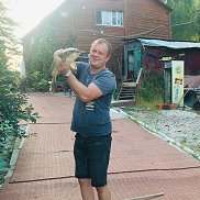 , 42 , 