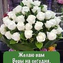 ���� �������� ( �� �������� ��), ��� - ��������� 15 �������� 2025 � ������ ������ ��������