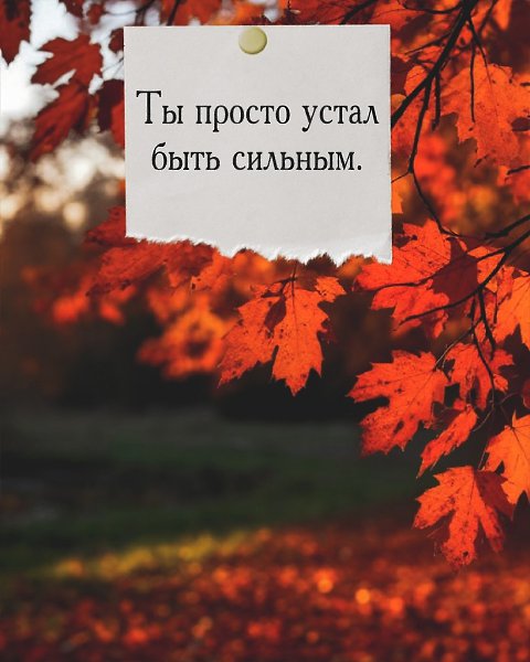 Иногда нам хочется, чтобы кто-то просто сказал: “Можешь не справляться сегодня. Я рядом.”