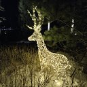 ���� �����, �������, 59 ��� - ��������� 10 ������ 2026 � ������ ���� ����������