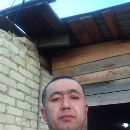 , 42, 