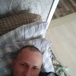 , 41, 