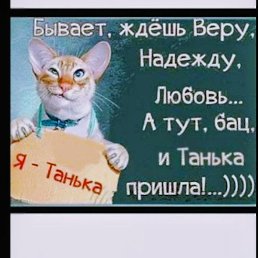 ���� �������, ����������, 66 ��� - ��������� 15 ������ 2026