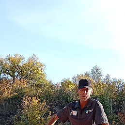 , 53, 