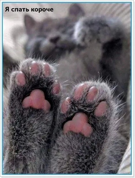 ☆������ �����☆ - 21 ������ 2025 � 20:06