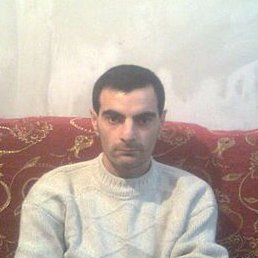 �����, �������, 46 ���