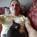 ���� ϸ��, �����, 63 ���� - ��������� 24 ������� 2025 � ������ ���� ����������