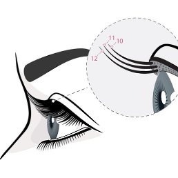 ���������, ������, 24 ����