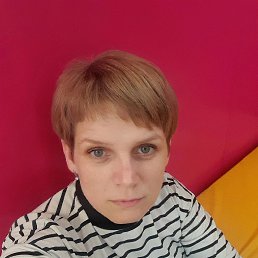 �������, 43 ����, ������