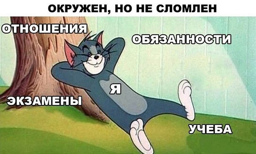 ? ,  ! - 13  2025  06:49