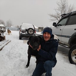 ���� ��������, ���������, 48 ��� - ��������� 20 ������ 2026