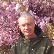 �����, 44 ����, ���������