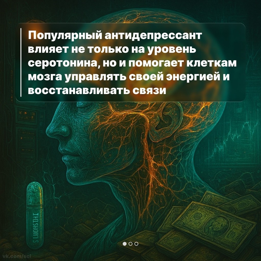  |  |   5 - 1  2025  08:41