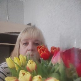 ���� ����, ������, 48 ��� - ��������� 2 �������� 2025