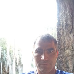 , 40, 