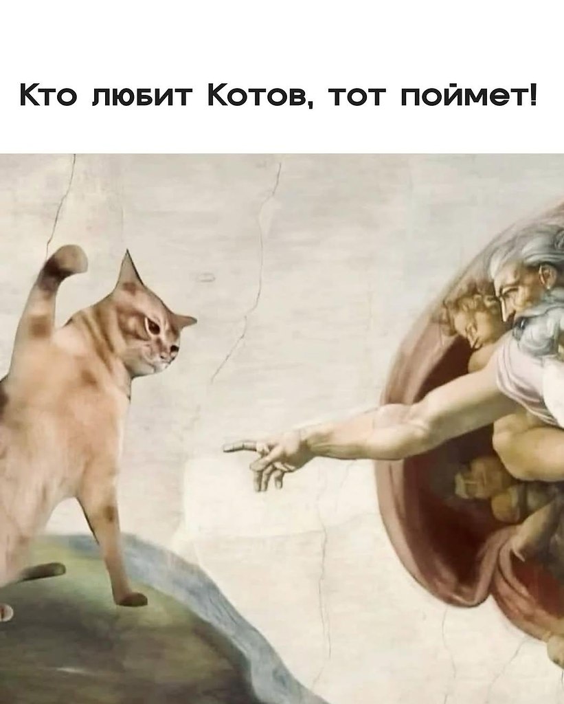 �����