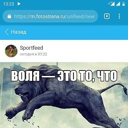 �������, ������, 37 ���