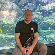 ����, 59 ���, �������������