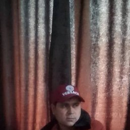 , 41, 