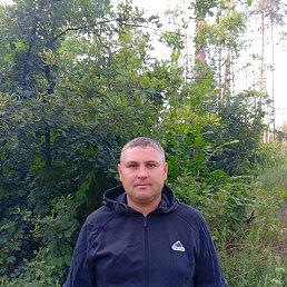 , 41, 