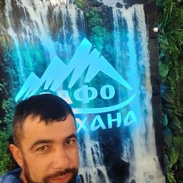 , 33 , 