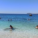 ������ ������� �� ������� ���� ����������